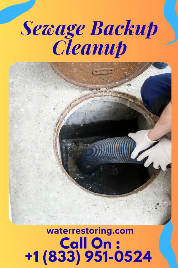 Sewage Backup Cleanup in Keota, OK