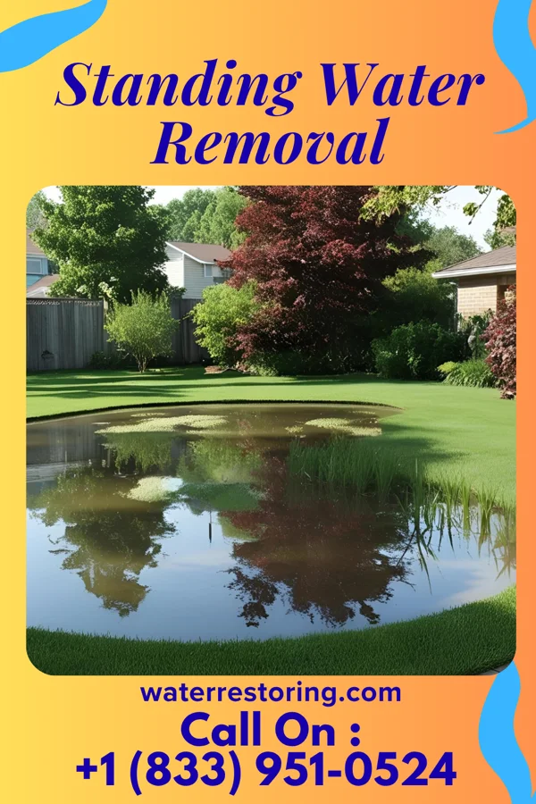 Standing Water Removal in Keota, OK